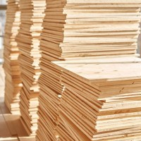 What is better to choose plywood or OSB for the floor: comparison, advantages and disadvantages