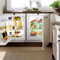 Mini-refrigerators: which one is better to choose + review of the best models and brands