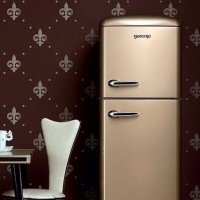 Gorenje refrigerators: overview of the model range + what to look for before buying