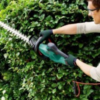 TOP 12 best hedge trimmers: review, quality, price