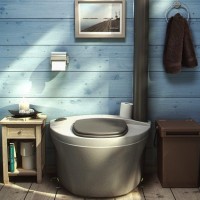 Antiseptic for toilets in the country: a review of chemicals and bioactivators