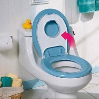 Toilet seat: types, selection rules and installation features