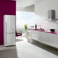 Don refrigerators: reviews, review of the 5 best models, recommendations for selection