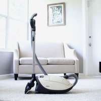 Rating of bagless vacuum cleaners: TOP 17 best models on the market