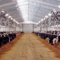 Do-it-yourself barn ventilation: types of systems, air exchange rates + procedure for arranging the system