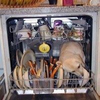 What can and cannot be washed in the dishwasher: features of washing dishes made from different materials
