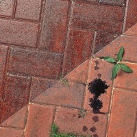 How to use impregnation for paving slabs - tips for use