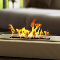 Biofuel fireplaces: design, types and principles of operation of biofuel fireplaces