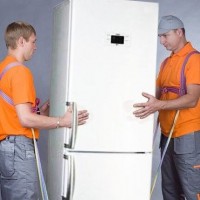 Is it possible to transport a refrigerator lying down? Rules and standards for the transportation of refrigerators