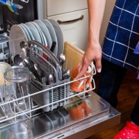 Whirlpool dishwashers (Whirlpool): review of the best models