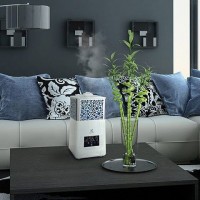 Silent air humidifiers for the home: rating of the TOP 10 quietest units