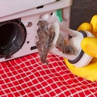 How to clean a washing machine filter: a review of the best methods