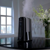Where to place a humidifier in a room: choosing the optimal location for the device + expert advice