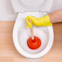 How to unclog a toilet yourself: the best ways to remove blockages