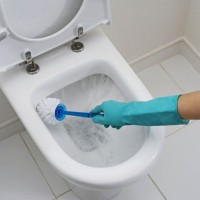 How to clean a toilet from limescale: effective chemical and folk remedies