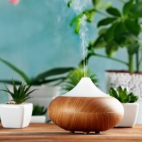 Which humidifier is better - steam or ultrasonic? Comparing two types of humidifiers