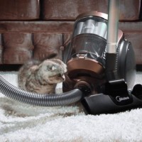 Midea vacuum cleaner rating: review of the best models + what to look for when buying brand equipment