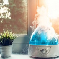 The harm and benefits of a humidifier: arguments for and against using devices in an apartment