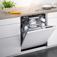 Electrolux built-in dishwashers: rating of the best models + selection tips