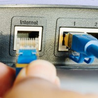 Internet cable: types, device + what to look for when buying an Internet cable