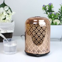 Can you add essential oils to a humidifier? Specifics of aroma use