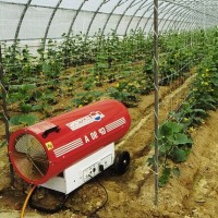Do-it-yourself greenhouse heating system: the best ways to heat greenhouses in winter