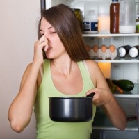 How to get rid of the smell in the refrigerator: popular ways to get rid of the stench