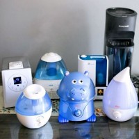 10 best air humidifiers: rating of TOP models for apartments and private houses