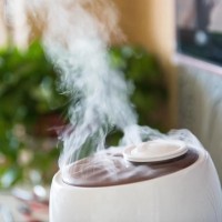 How to choose an ultrasonic humidifier: what to look for before buying?