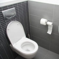 How to unclog a toilet: comparison of the best methods and equipment