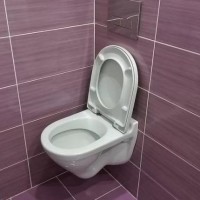 How to choose a wall-hung toilet: which is better and why + review of manufacturers
