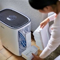 How to clean a humidifier from scale and mold at home: the best methods + cleaning instructions