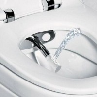 Couvercle de bidet pour toilettes : types, description du principe de fonctionnement et conseils de choix