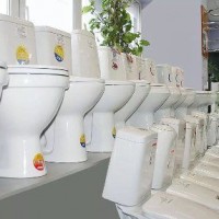 Types of toilets by technical characteristics and design