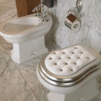 Toilet lid: varieties, selection tips, installation instructions