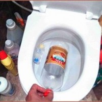 How to clean a toilet with a bottle: step-by-step instructions + review of alternative methods