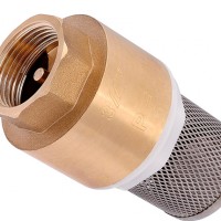 Choosing a check valve with a mesh - main characteristics