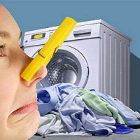 How to get rid of mold in a washing machine using improvised means at home