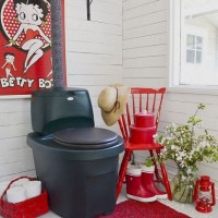 Which dry toilet is better: liquid or composting? What to buy: peat or chemical option