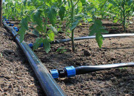 Système d'irrigation goutte à goutte