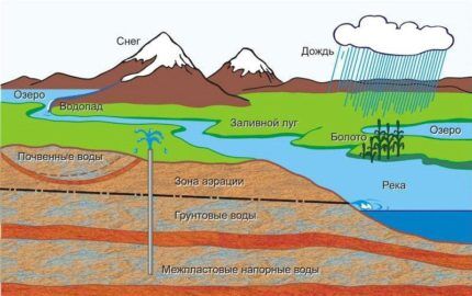 The influence of a reservoir on the quality of groundwater 