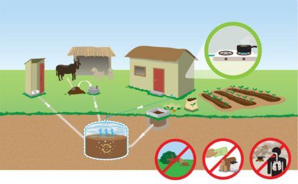 Producing biogas from manure
