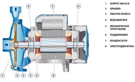Centrifugal pump design diagram