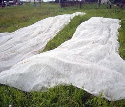 Matériel pour fabriquer un filtre à eau maison