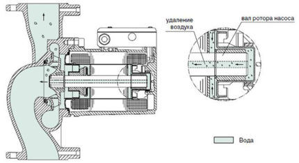 Glandless rotor pump