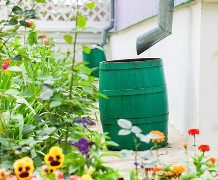 Water collection barrel