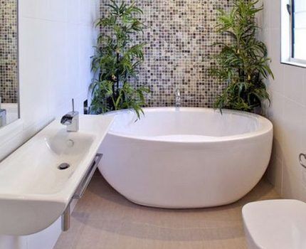 Bagno rotondo all'interno