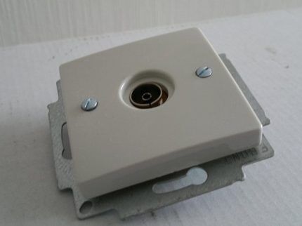 Appearance of the socket