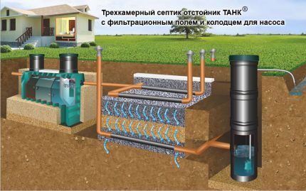 Installation diagram of a septic tank for poorly absorbent soils