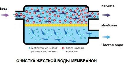Retention of impurities by membrane pores